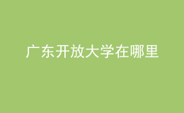 廣東開放大學在哪里