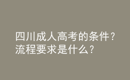 四川成人高考的條件？流程要求是什么？