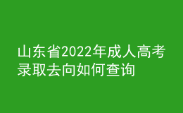 山東省2022年成人高考錄取去向如何查詢？通知書怎么發(fā)放？