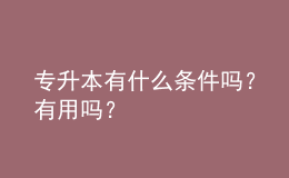 專升本有什么條件嗎？有用嗎？ 