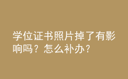 學(xué)位證書照片掉了有影響嗎？怎么補辦？ 