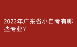 2023年廣東省小自考有哪些專業(yè)？ 