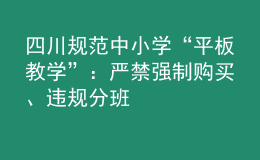 四川規(guī)范中小學(xué)“平板教學(xué)”：嚴(yán)禁強(qiáng)制購(gòu)買、違規(guī)分班