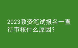 2023教資筆試報名一直待審核什么原因？