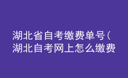 湖北省自考繳費單號(湖北自考網(wǎng)上怎么繳費)