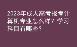 2023年成人高考報考計算機專業(yè)怎么樣？學(xué)習(xí)科目有哪些？