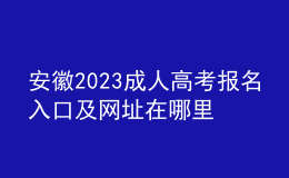 安徽2023成人高考報(bào)名入口及網(wǎng)址在哪里？