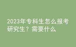 2023年?？粕趺磮罂佳芯可?？需要什么條件？