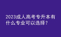 2023成人高考專升本有什么專業(yè)可以選擇？