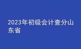 2023年初級會計查分山東省