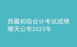 西藏初級(jí)會(huì)計(jì)考試成績(jī)哪天公布2023年