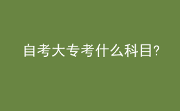自考大?？际裁纯颇?