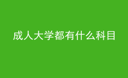 成人大學都有什么科目