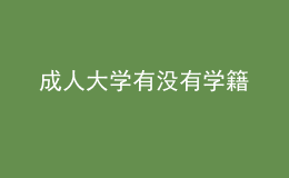 成人大學(xué)有沒有學(xué)籍