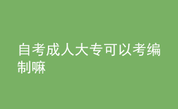 自考成人大專(zhuān)可以考編制嘛 