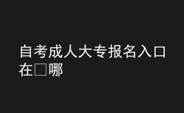 自考成人大專報(bào)名入口在?哪 