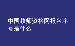 中國(guó)教師資格網(wǎng)報(bào)名序號(hào)是什么