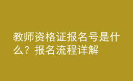 教師資格證報名號是什么？報名流程詳解