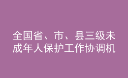 全國省、市、縣三級未成年人保護工作協(xié)調(diào)機制實現(xiàn)全覆蓋