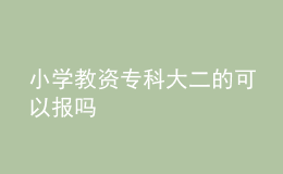 小學教資?？拼蠖目梢詧髥? style=
