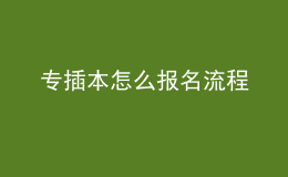 專(zhuān)插本怎么報(bào)名流程