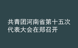 共青團(tuán)河南省第十五次代表大會在鄭召開