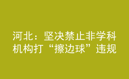 河北：堅決禁止非學(xué)科機(jī)構(gòu)打“擦邊球”違規(guī)開展學(xué)科類培訓(xùn)