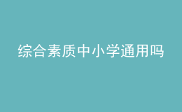 綜合素質(zhì)中小學通用嗎