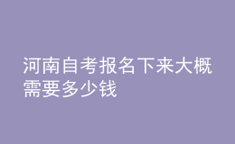 河南自考報(bào)名下來大概需要多少錢