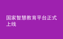 國(guó)家智慧教育平臺(tái)正式上線