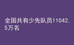 全國(guó)共有少先隊(duì)員11042.5萬(wàn)名