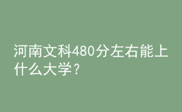 河南文科480分左右能上什么大學？