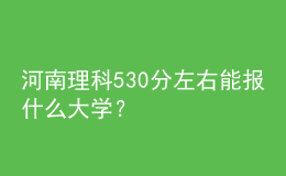 河南理科530分左右能報什么大學？