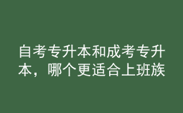 自考專升本和成考專升本，哪個更適合上班族？ 