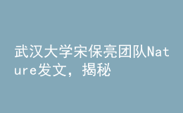 武漢大學(xué)宋保亮團(tuán)隊(duì)Nature發(fā)文，揭秘降脂新策略！