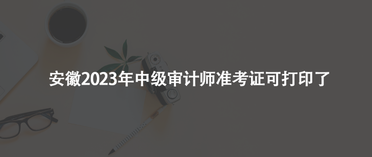 安徽2023年中級(jí)審計(jì)師準(zhǔn)考證可打印了