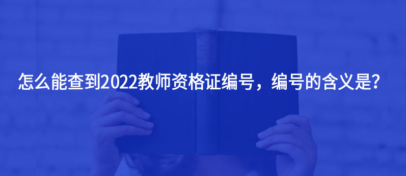 怎么能查到2022教師資格證編號，編號的含義是？